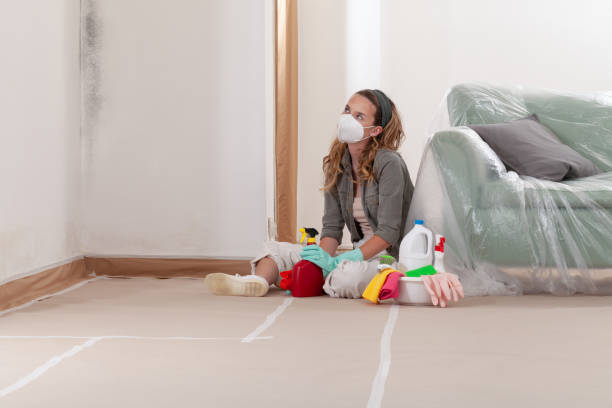 Reliable Mold Inspection contractor in Edmonds, WA by WQB Mold Removal